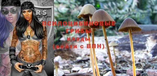 тгк Абдулино